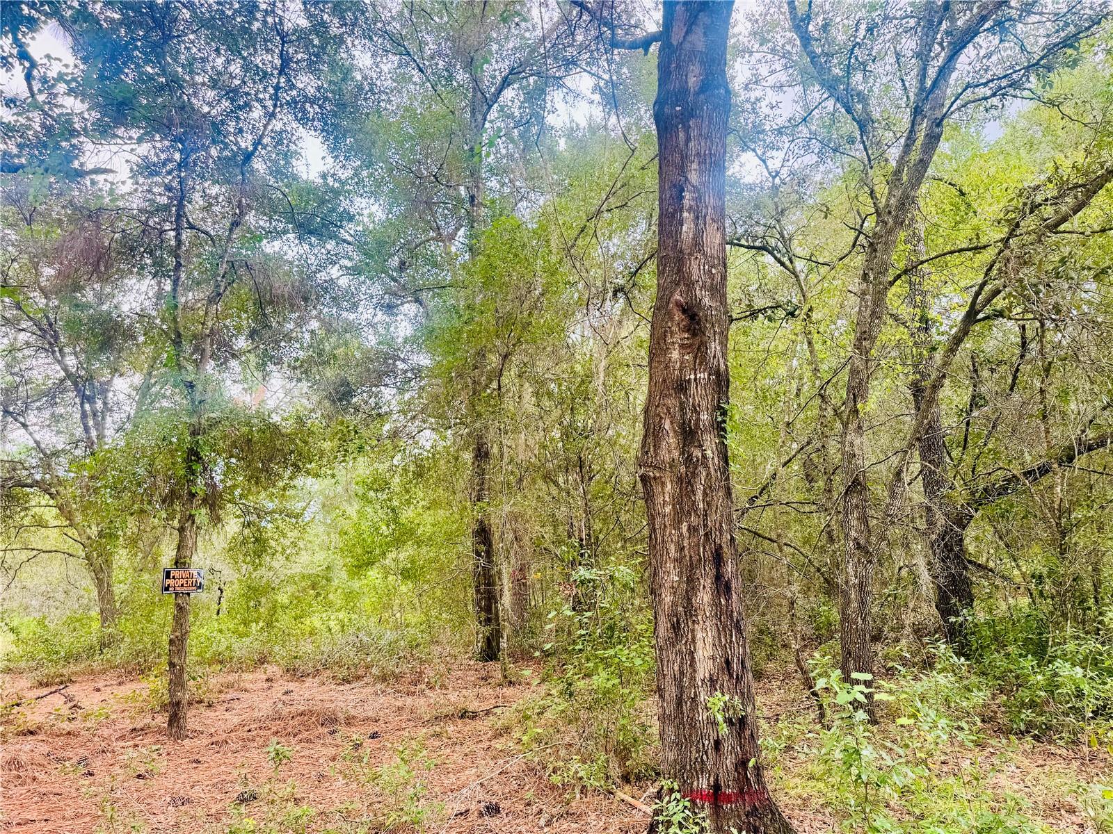 INVERNESS ACRES UNIT 02 AKA INVERNESS VILLAGE - Land