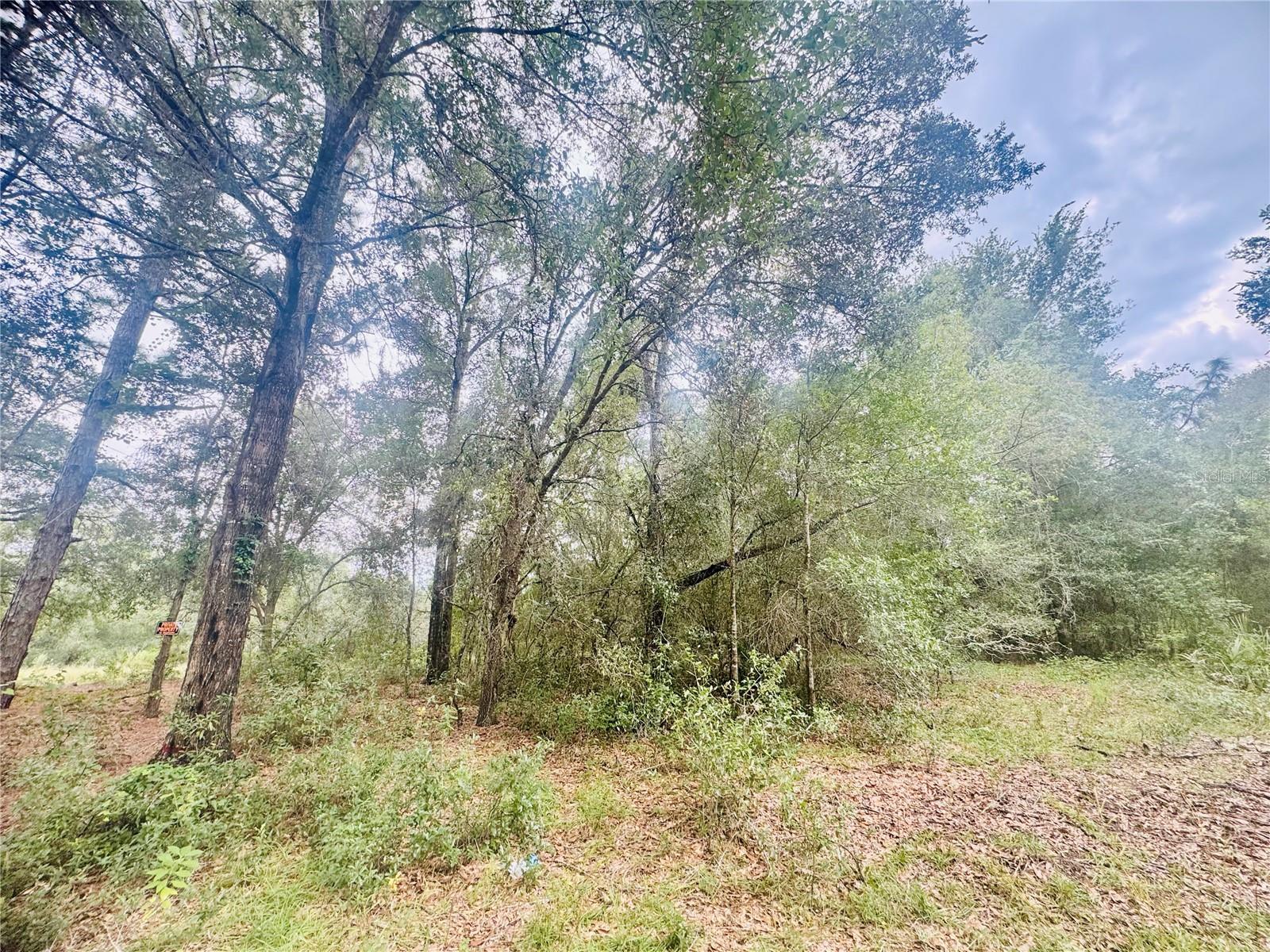 INVERNESS ACRES UNIT 02 AKA INVERNESS VILLAGE - Land