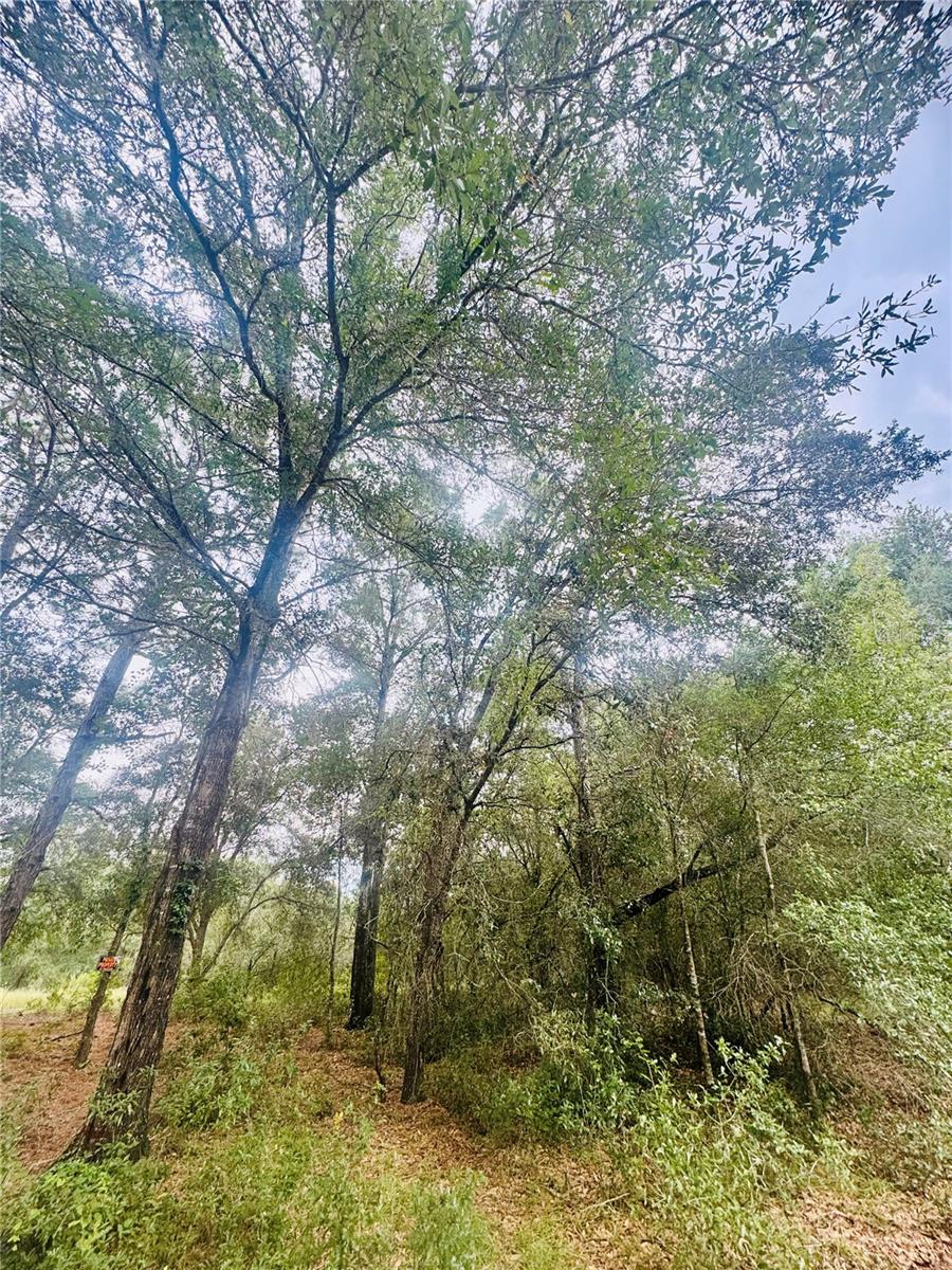 INVERNESS ACRES UNIT 02 AKA INVERNESS VILLAGE - Land