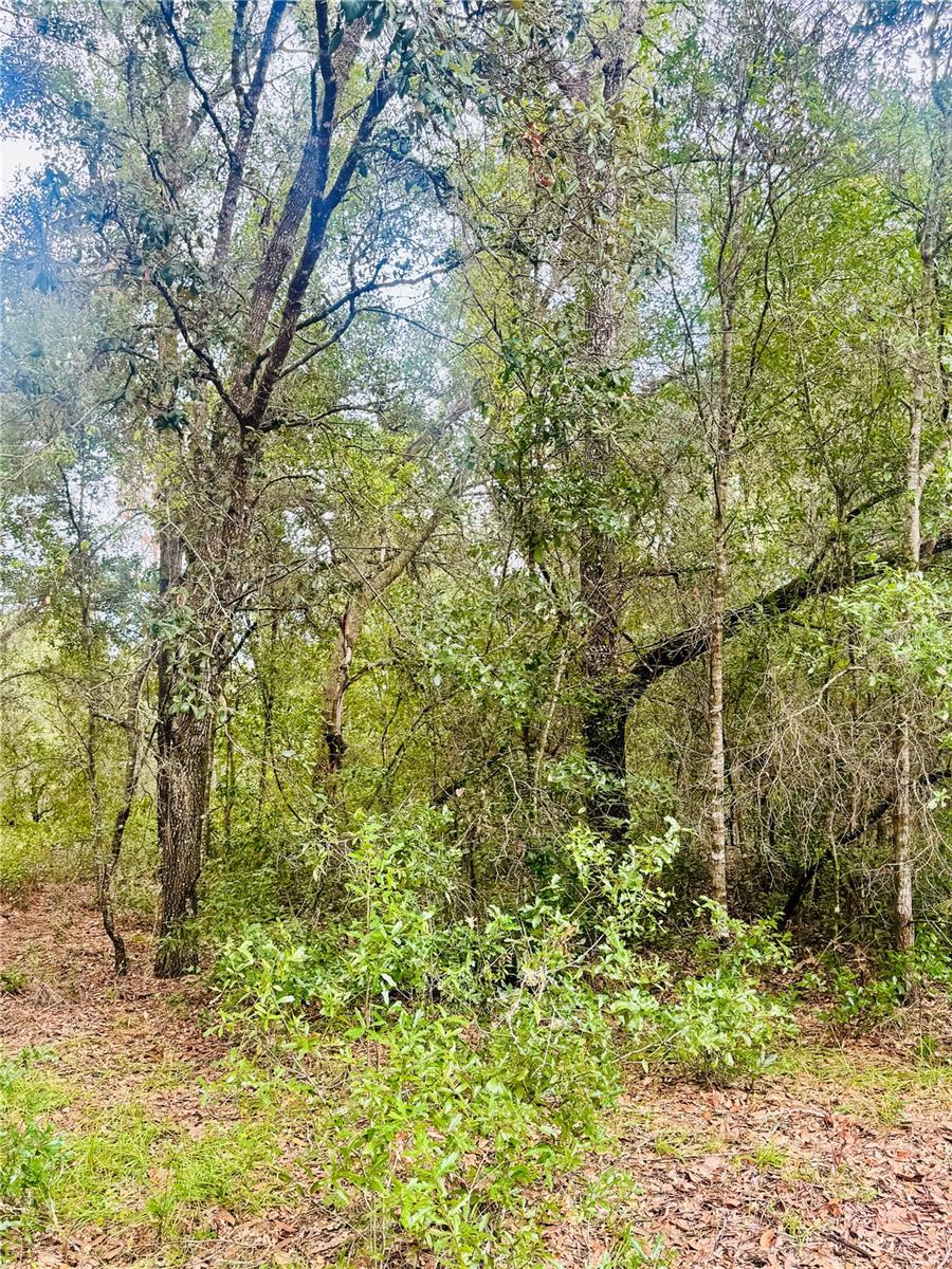 INVERNESS ACRES UNIT 02 AKA INVERNESS VILLAGE - Land