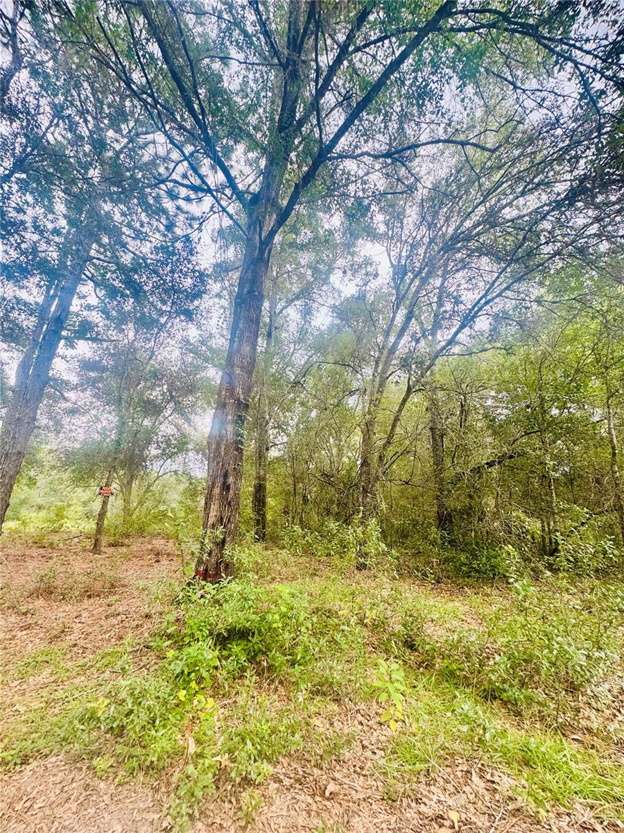 INVERNESS ACRES UNIT 02 AKA INVERNESS VILLAGE - Land