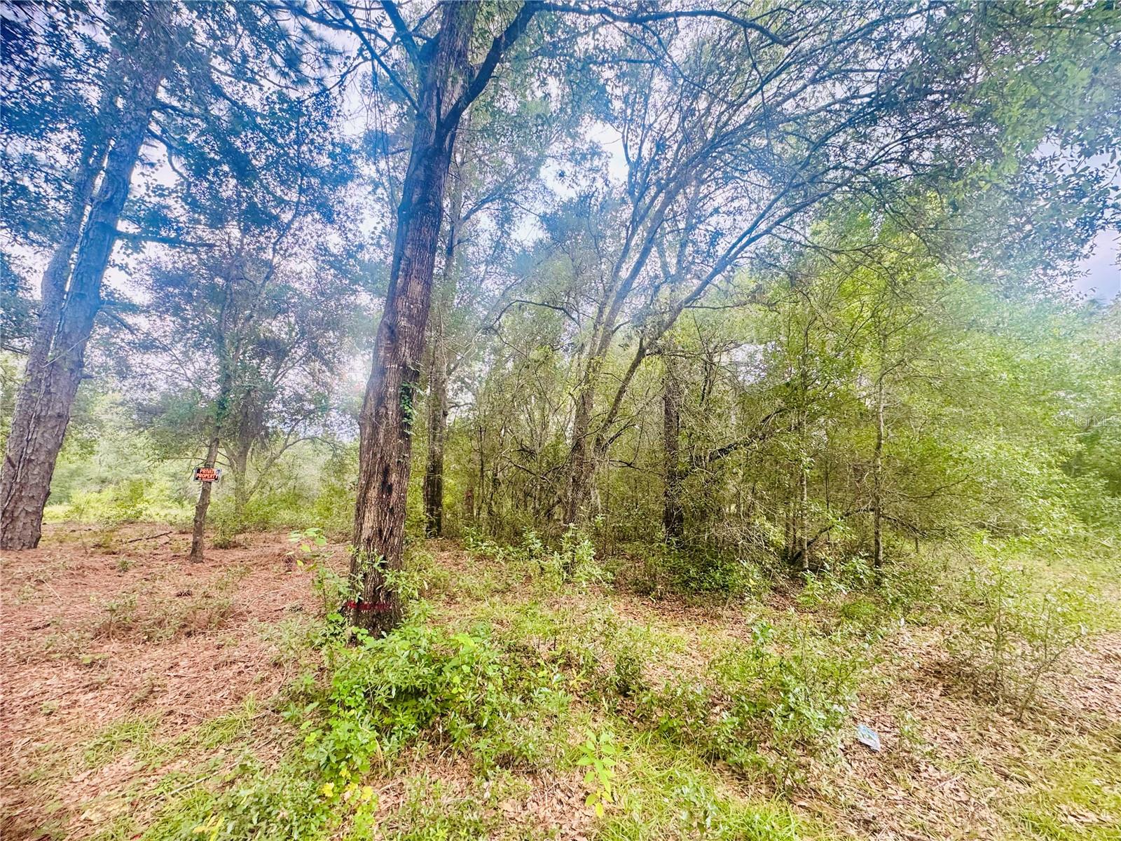 INVERNESS ACRES UNIT 02 AKA INVERNESS VILLAGE - Land