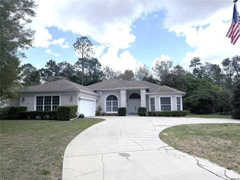 Photo of 13 Oak Village Boulevard S, Homosassa, FL 34446 (MLS # TB8494265)