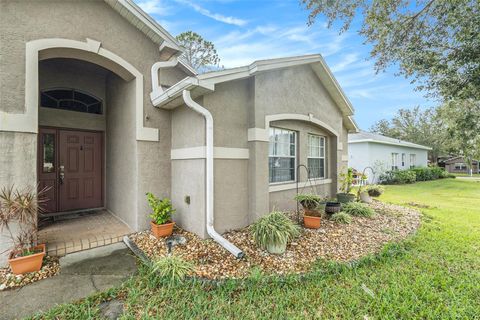 A home in ZEPHYRHILLS