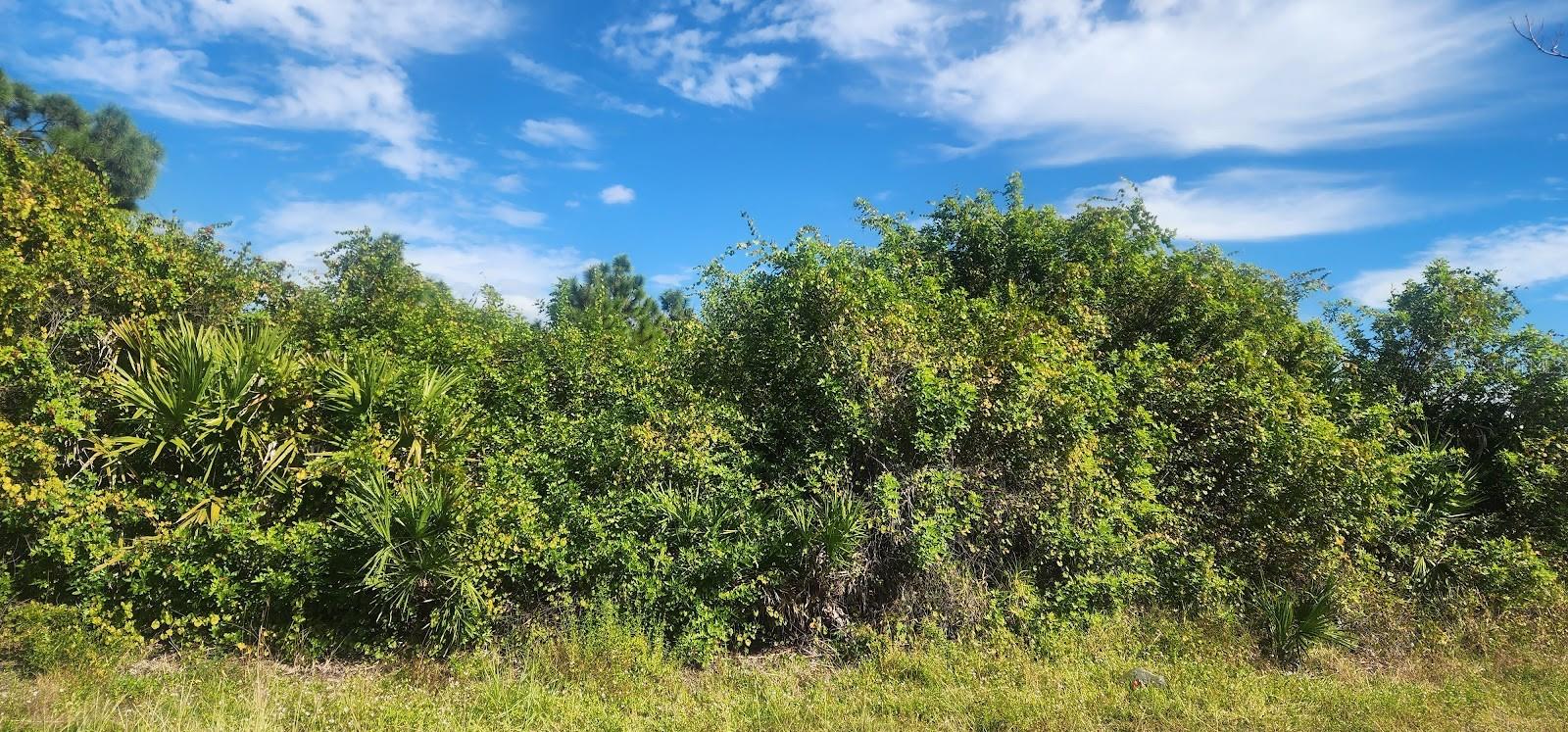 PORT CHARLOTTE SEC 095 - Land