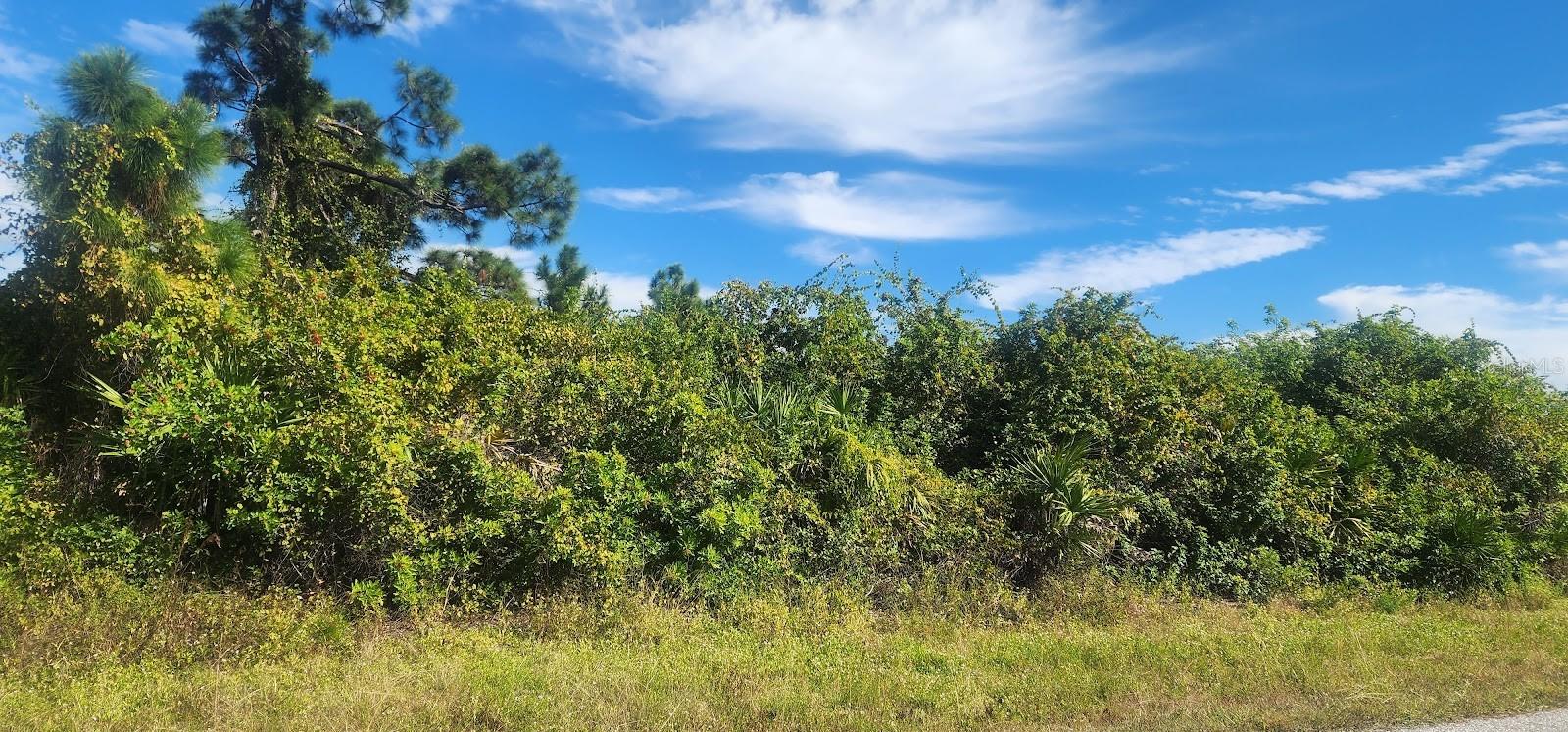 PORT CHARLOTTE SEC 095 - Land