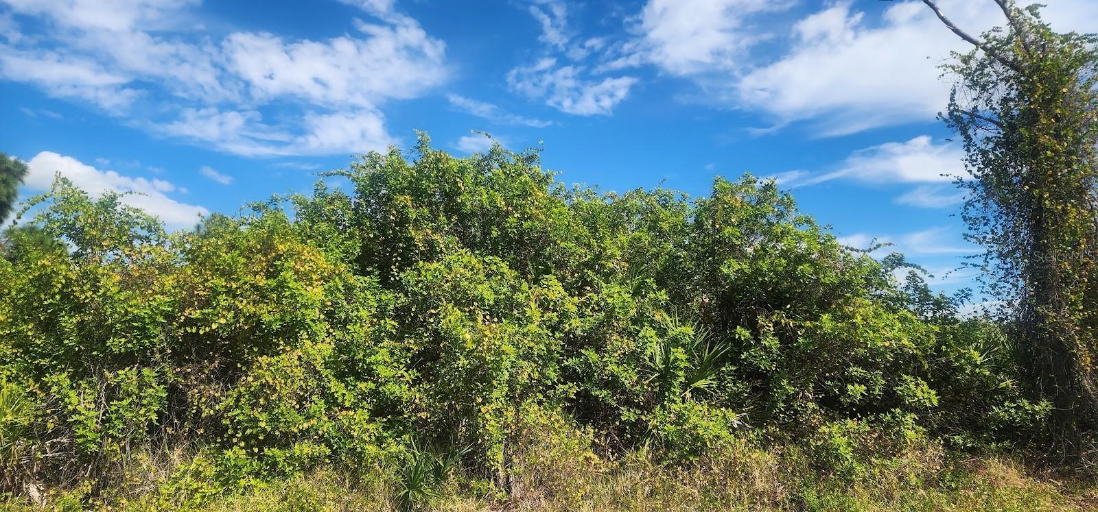 PORT CHARLOTTE SEC 095 - Land