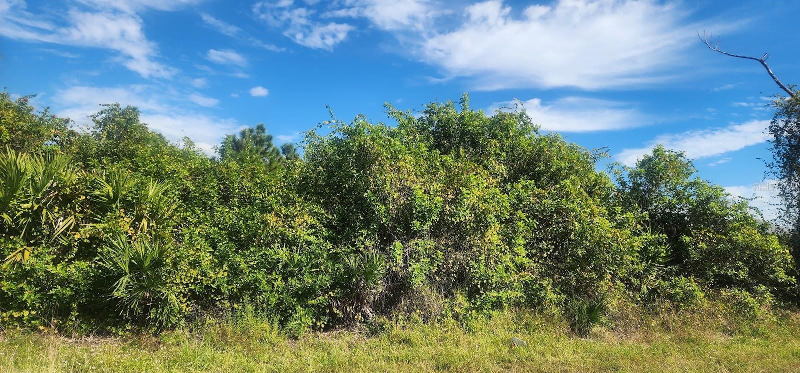 PORT CHARLOTTE SEC 095 - Land