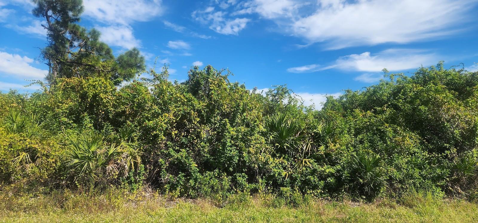 PORT CHARLOTTE SEC 095 - Land