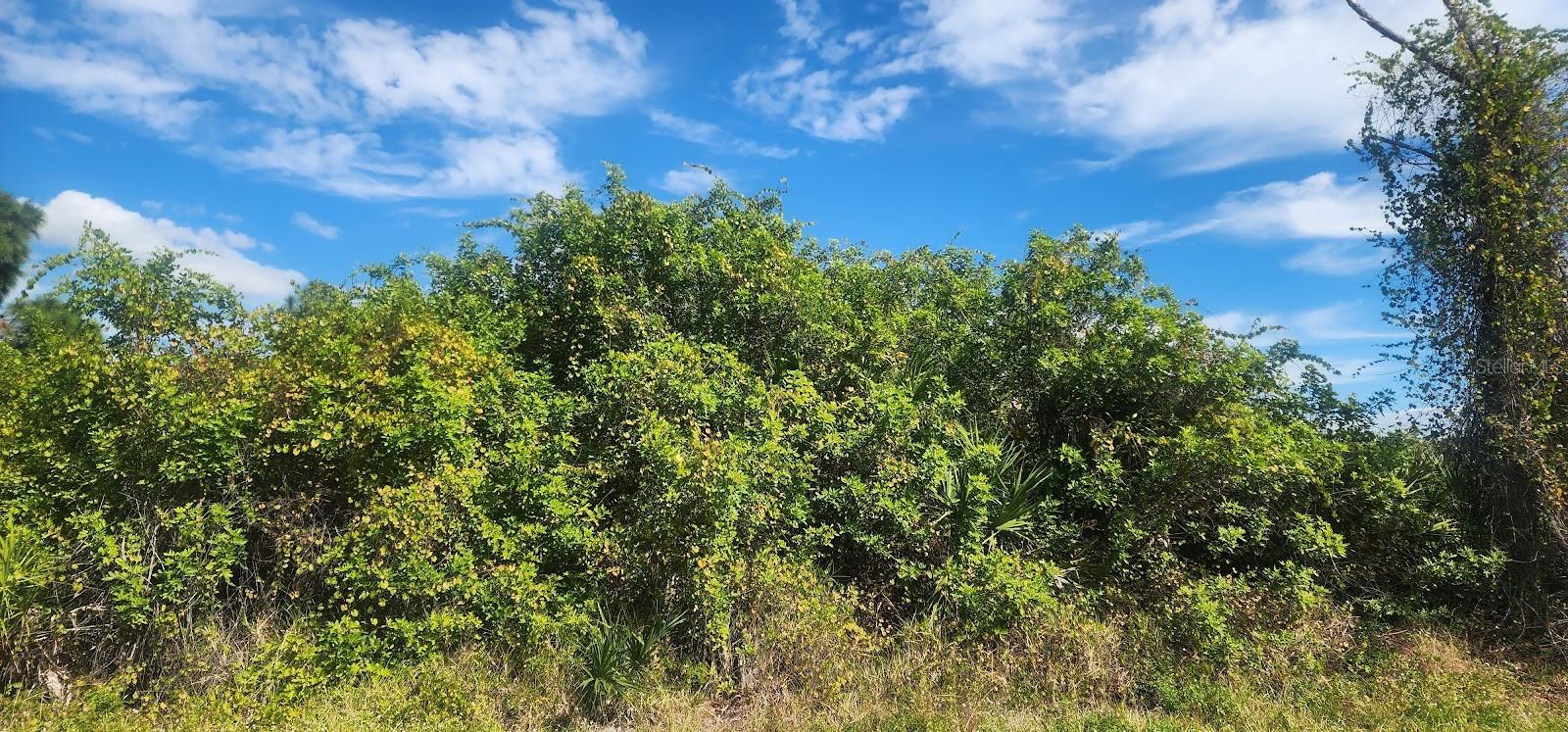 PORT CHARLOTTE SEC 095 - Land