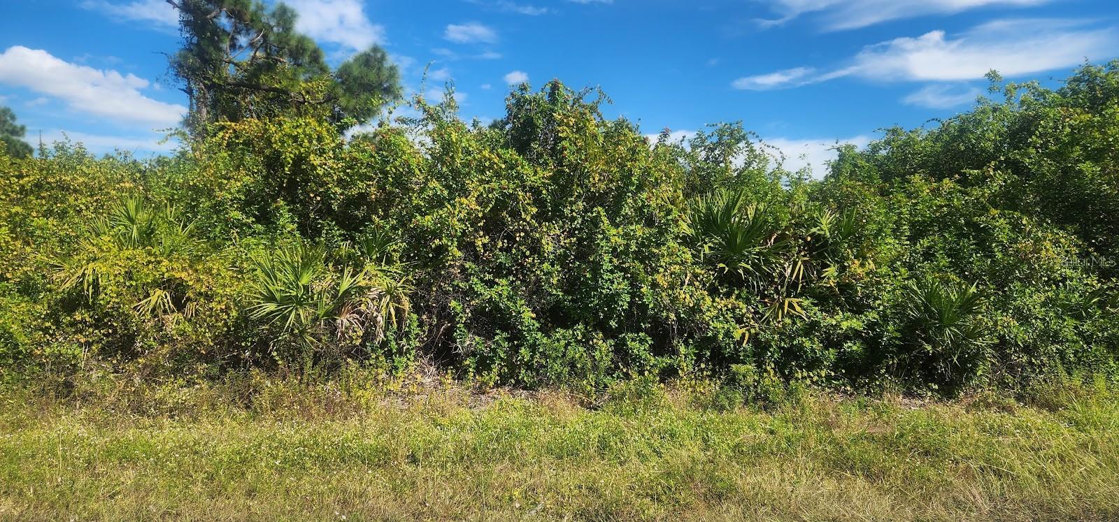 PORT CHARLOTTE SEC 095 - Land