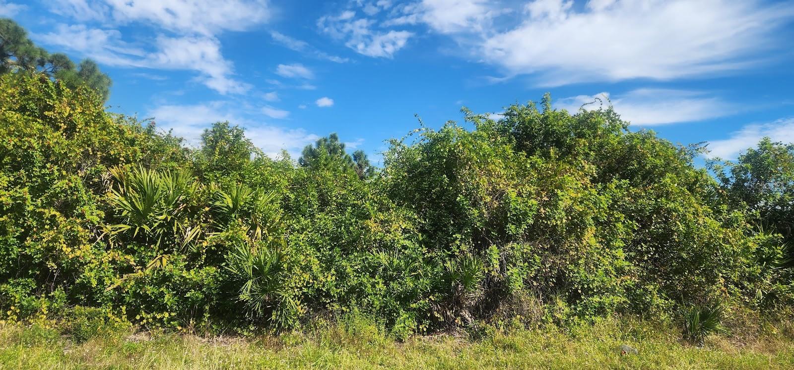 PORT CHARLOTTE SEC 095 - Land