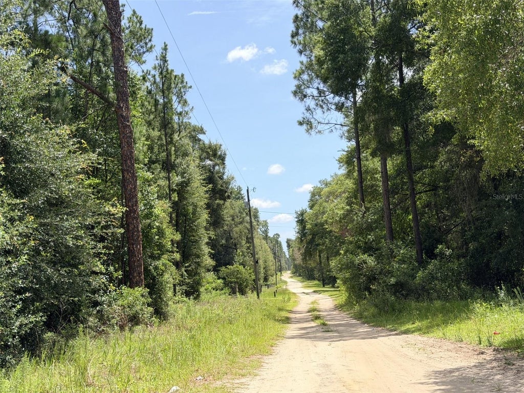 Photo of 0 NE 77 Place, Bronson, FL 32621 (MLS # GC542231)