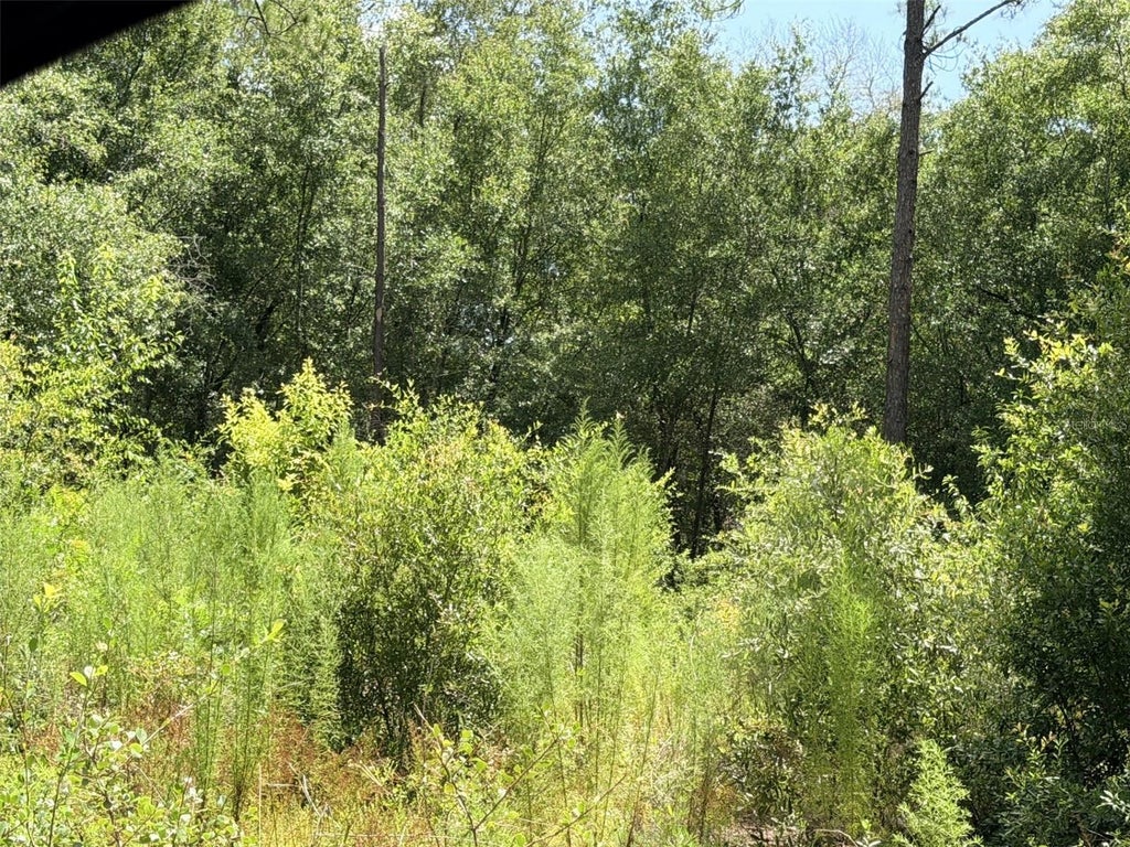 Photo of 0 NE 77 Place, Bronson, FL 32621 (MLS # GC542231)