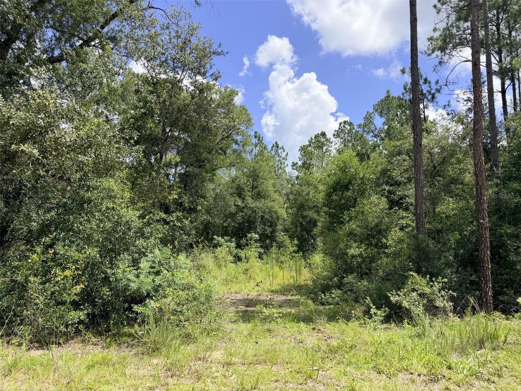 Photo of 0 NE 77 Place, Bronson, FL 32621 (MLS # GC542231)