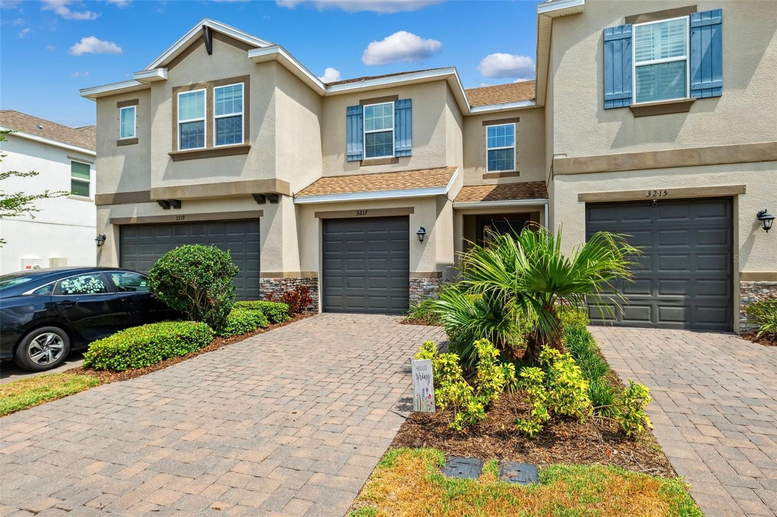3217 PAINTED BLOSSOM COURT