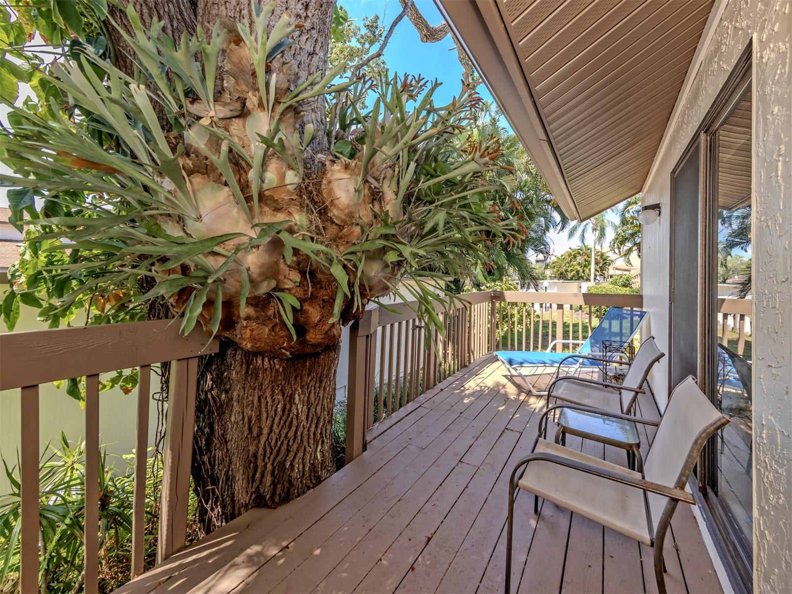 868 BIRD BAY WAY 197