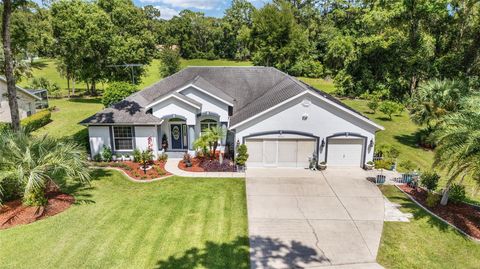 Tiny photo for 19115 SW 98th Loop, Dunnellon, FL 34432 (MLS # OM704542)