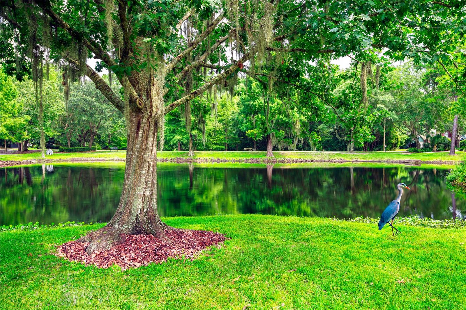 Overlooking scenic pond! Bright & Open 2BR/2BA townhome in Mill Pond. Close to the community pool, clubhouse and lighted tennis courts. New Central heat & air and hot water heater. Vaulted great room. Kitchen has wood cabinets, smooth-top stove, and microwave. One bedroom & bath downstairs; one bedroom & bath upstairs. Assigned covered carport parking. Hardiboard construction. Tile and engineered wood floors. Walk-in closets. High ceilings. Paddle fans. Laundry room with washer & dryer included. Enjoy the waterfront view! Exterior maintained by Association. Mill Pond is located across from Gainesville Health & Fitness Center and is close to the Oaks Mall & North FL Regional Medical. Convenient to UF & Shands. On bus route to UF. School zones: Terwilliger Elem, Kanapaha Middle, Buchholz High School. Available for immediate occupancy.