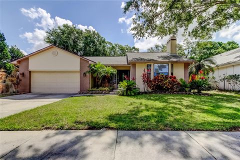 3410 BRIARWOOD LANE SAFETY HARBOR FL 34695