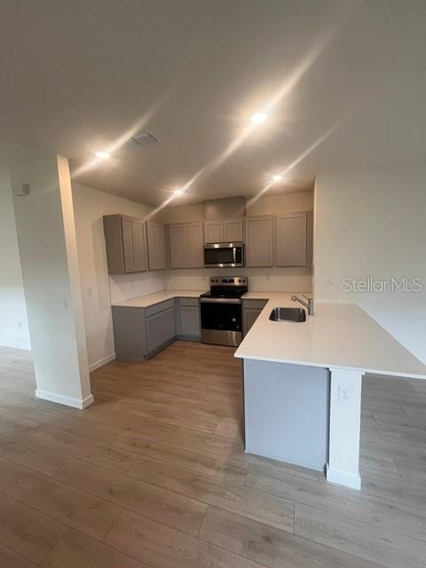 1370 CAMELLIA BLOOM LANE