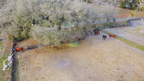 Tiny photo for 1154 SE 95th Street, Ocala, FL 34480 (MLS # OM719522)