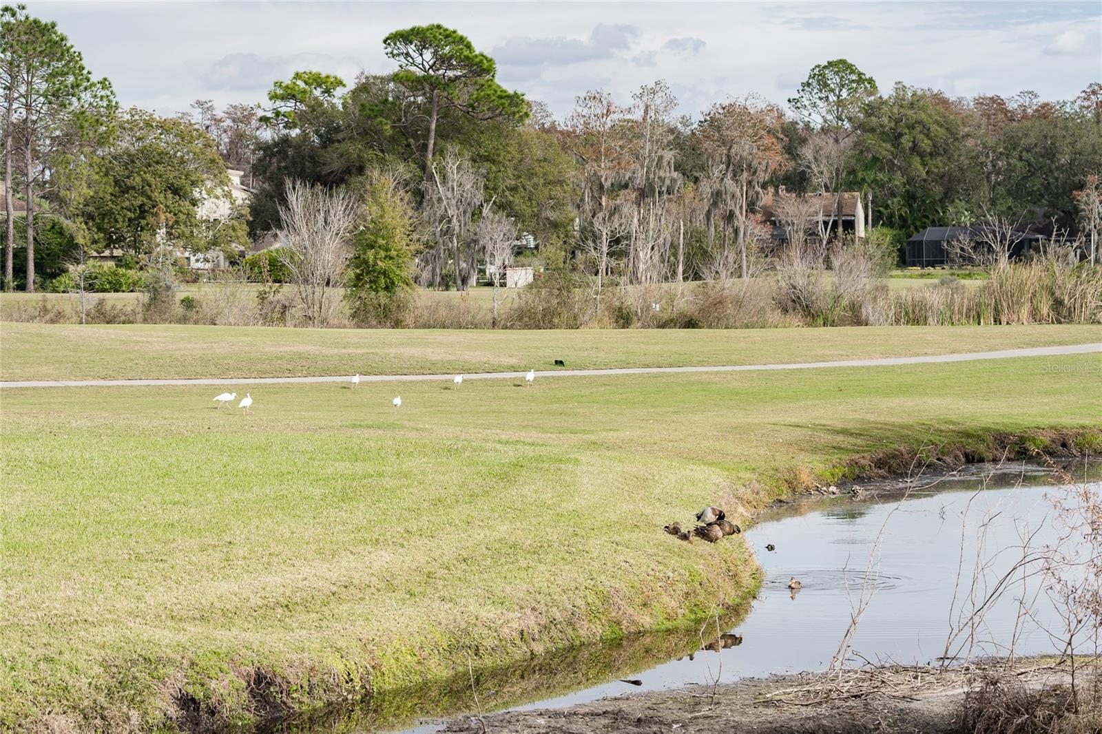 CARROLLWOOD VILLAGE SEC ON - Residential