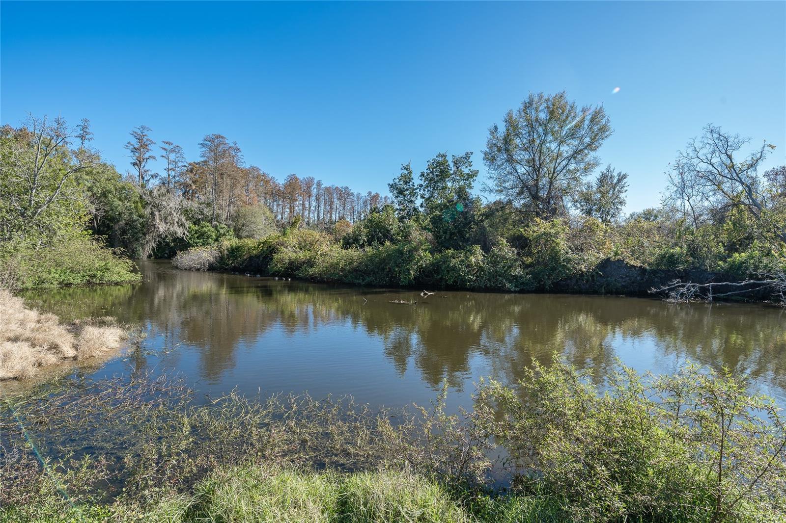 CARROLLWOOD VILLAGE SEC ON - Residential