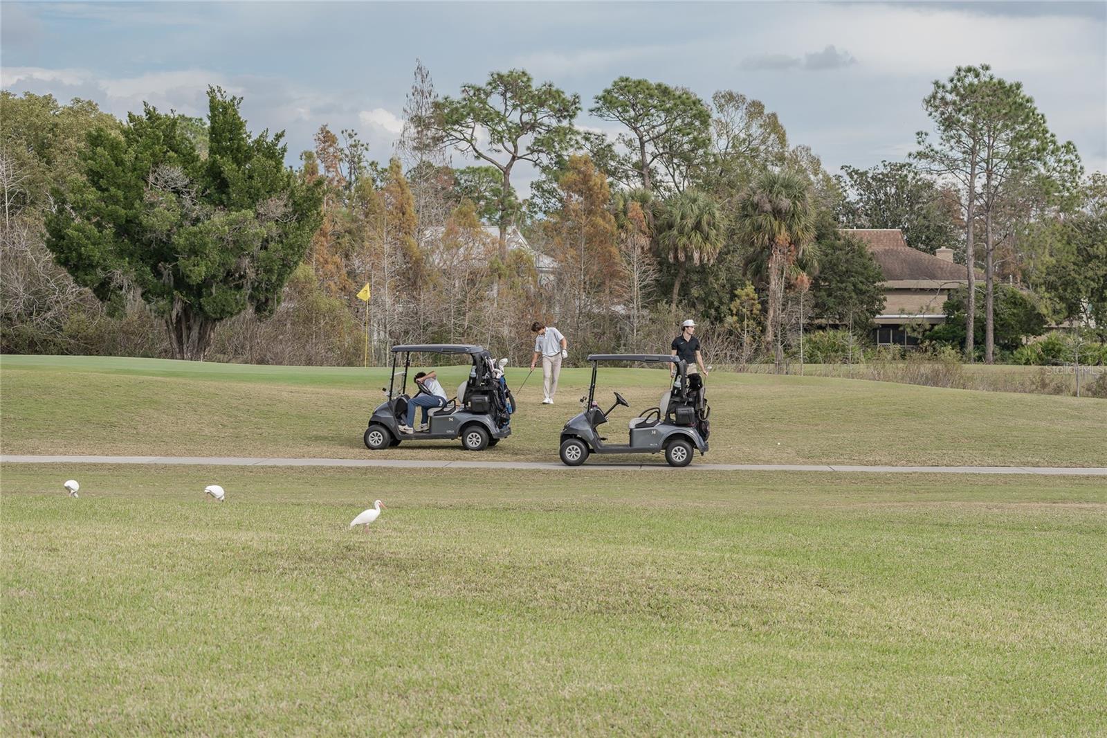 CARROLLWOOD VILLAGE SEC ON - Residential