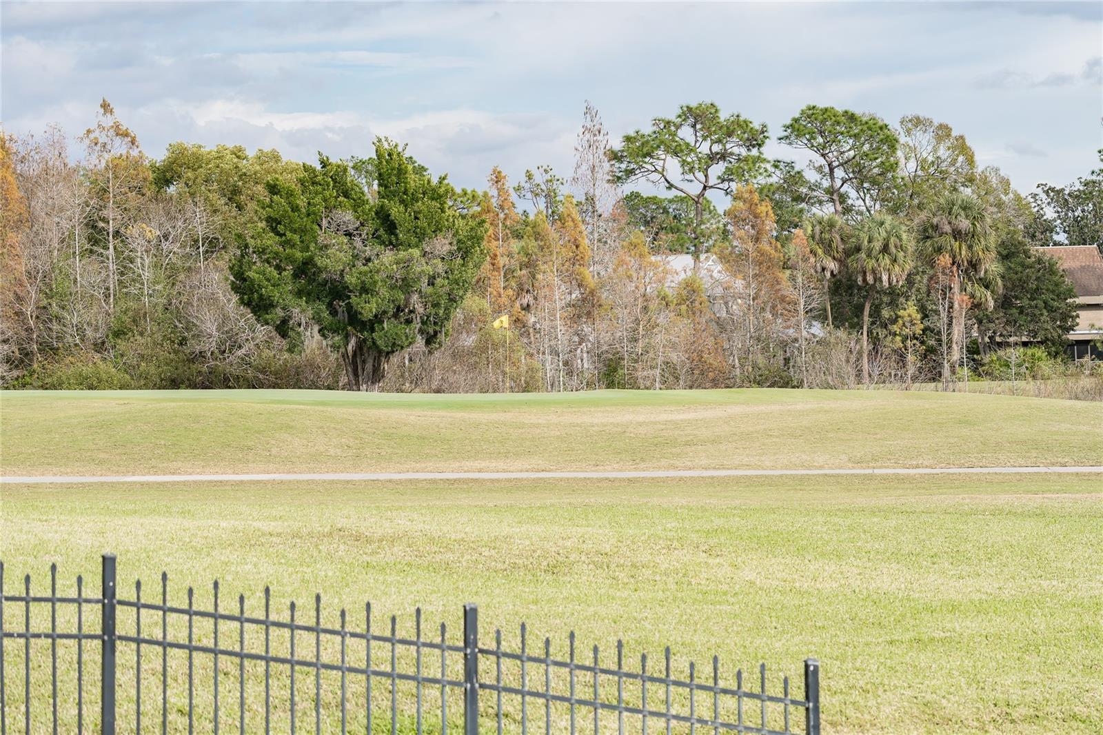 CARROLLWOOD VILLAGE SEC ON - Residential