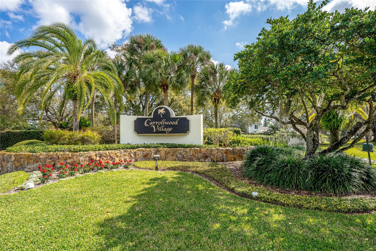 CARROLLWOOD VILLAGE SEC ON - Residential