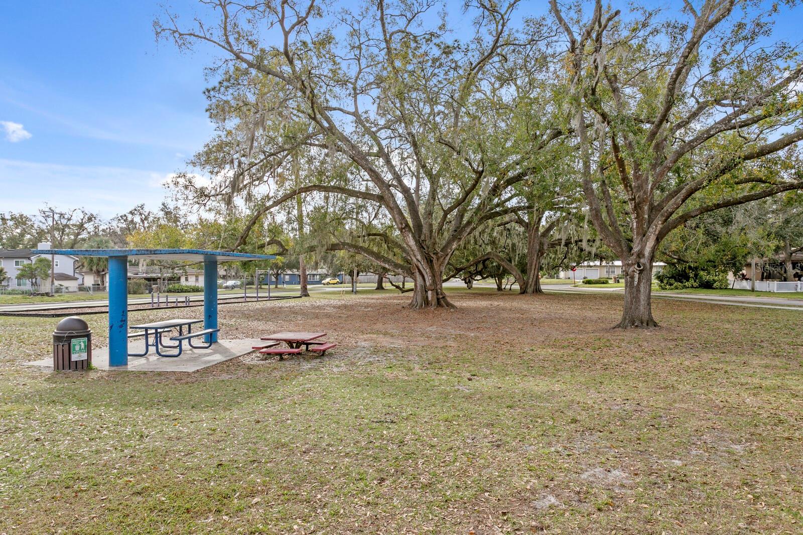 TEMPLE TERRACE ESTATES - Residential