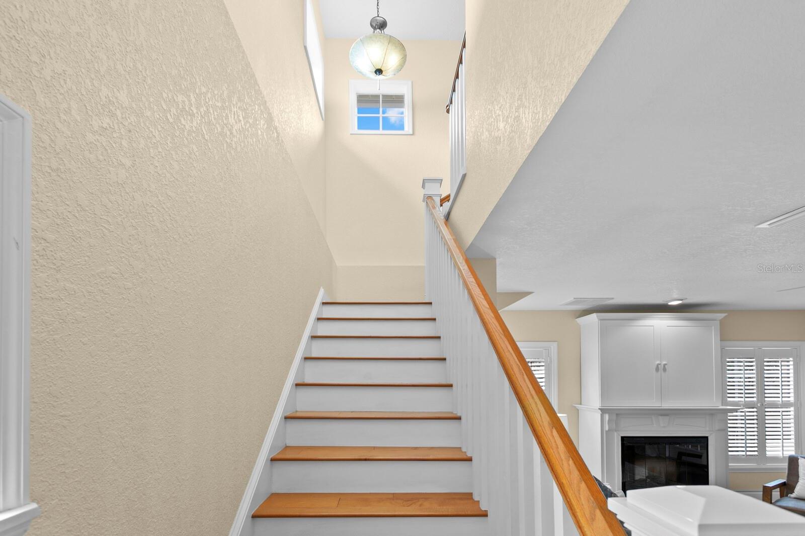 TEMPLE TERRACE ESTATES - Residential