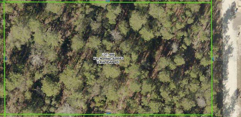Photo of 18183 Rapidan Road, Weeki Wachee, FL 34614 (MLS # TB8559416)