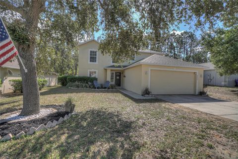 A home in TAVARES