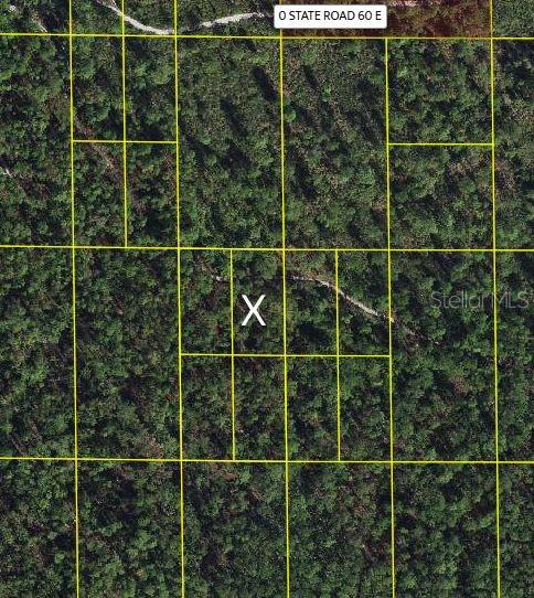 Investment Opportunity in Lake Wales, FL! This .32 lot is a fantastic long-term investment in a tranquil area. While currently without direct access, this parcel offers excellent potential for future development or appreciation as Lake Wales grows. Perfect for savvy investors looking to secure a foothold in a promising location. Don’t miss this chance to own a piece of land with future possibilities!