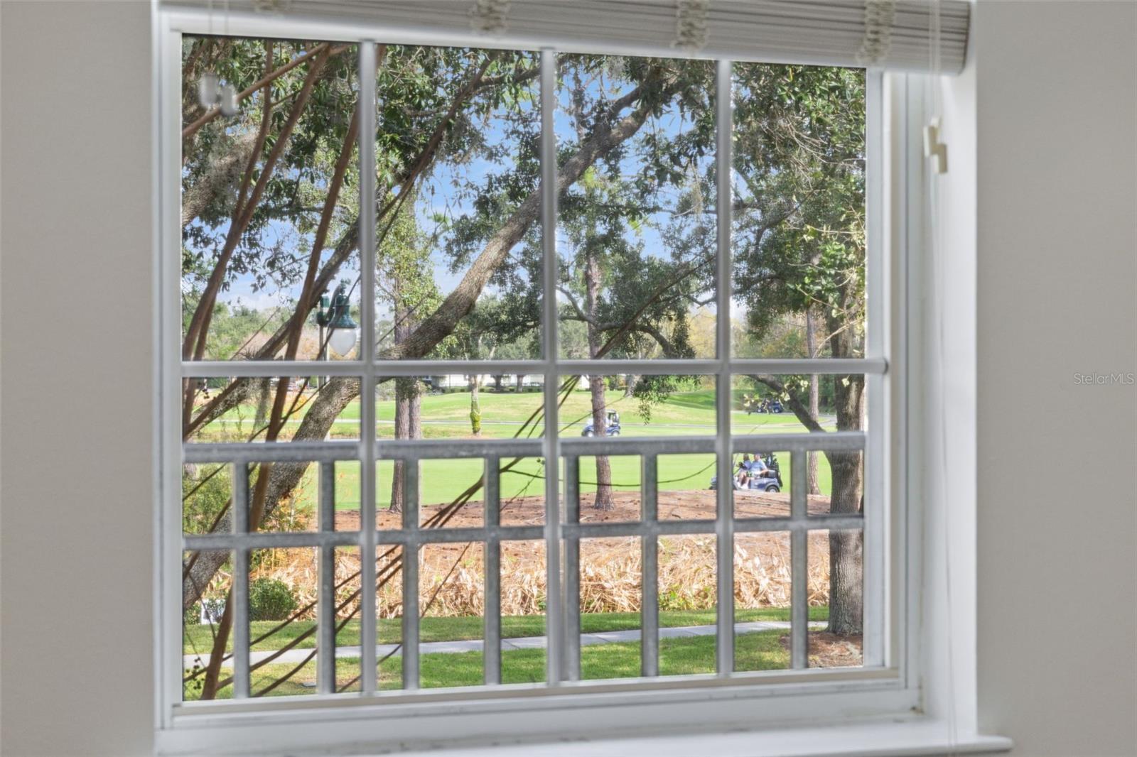 SIENA AT CELEBRATION CONDO C - Residential