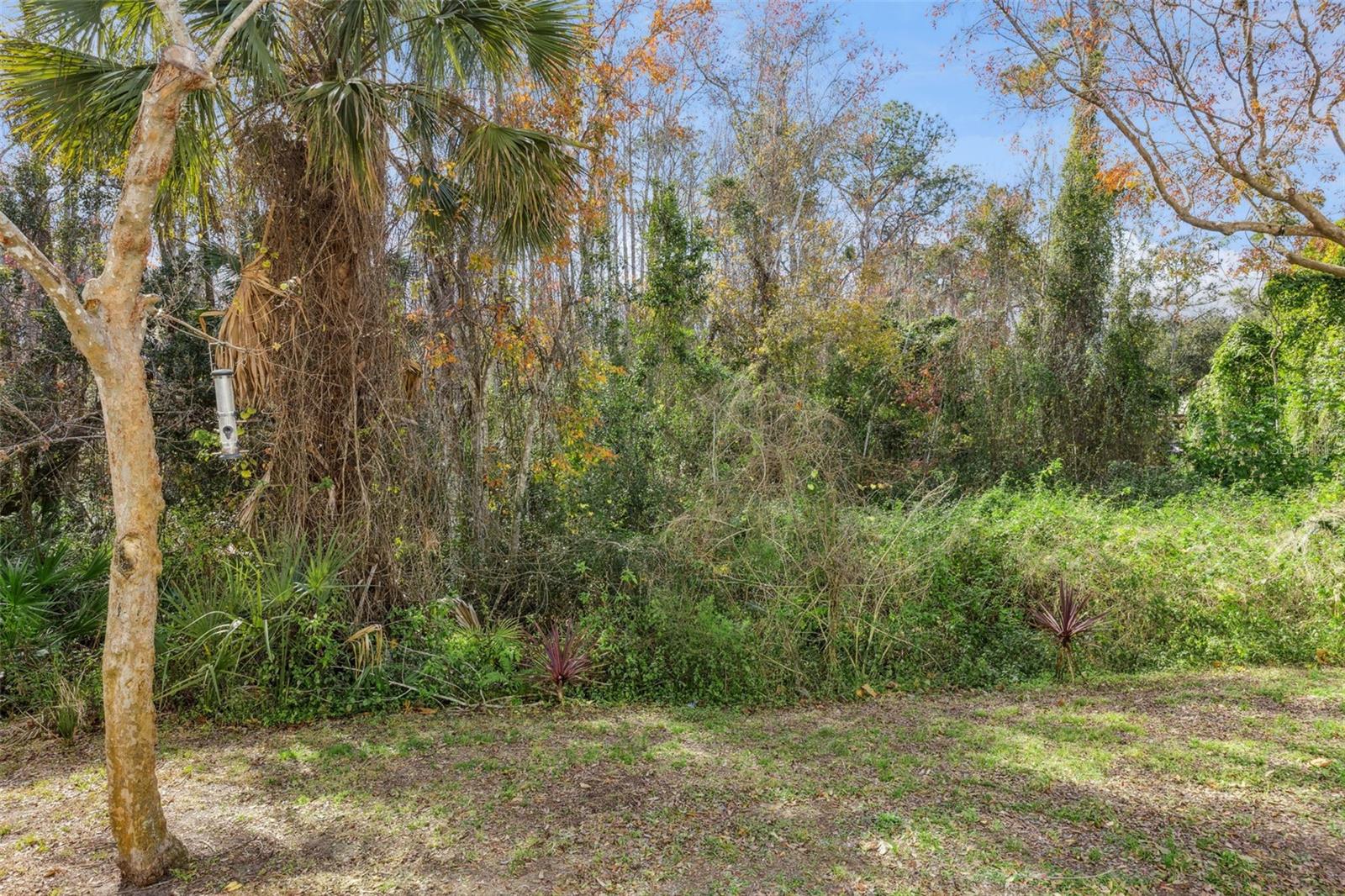 SIENA AT CELEBRATION CONDO C - Residential