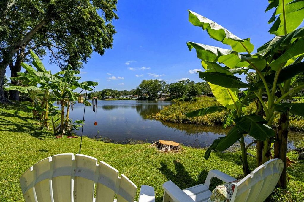 Photo of 1393 Chesterfield Drive, Dunedin, FL 34698 (MLS # TB8435868)