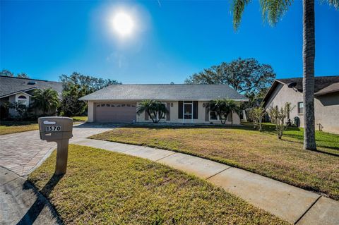 A home in PALM HARBOR