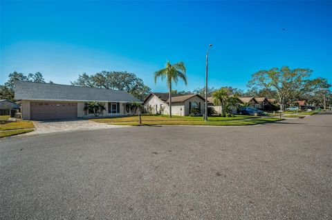 A home in PALM HARBOR