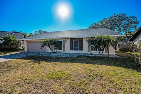 A home in PALM HARBOR