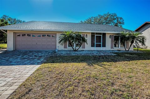 A home in PALM HARBOR