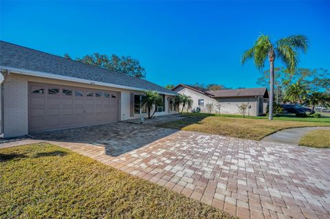 A home in PALM HARBOR