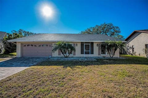 A home in PALM HARBOR