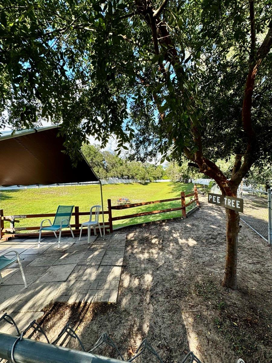 SALT SPRINGS RESORT CONDOMINIUM - Residential