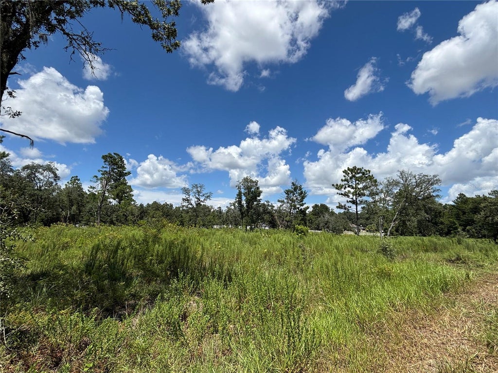 Photo of 12601 SW 98th Street, Dunnellon, FL 34432 (MLS # OM730327)