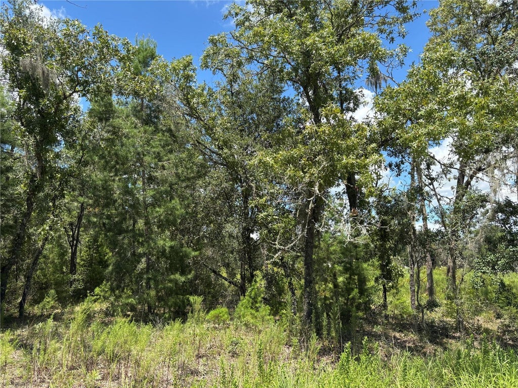 Photo of 12601 SW 98th Street, Dunnellon, FL 34432 (MLS # OM730327)
