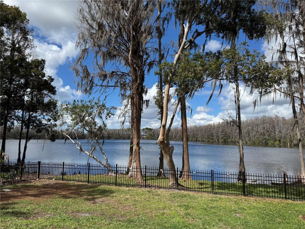 Photo of 21001 Lake Vienna Drive, Land O Lakes, FL 34638 (MLS # TB8482676)