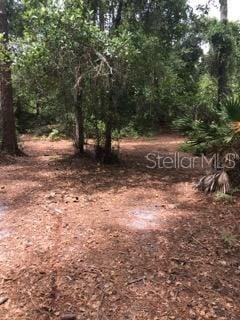 NARCOOSSEE NEW MAP - Land